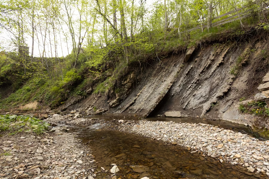 Erosion-Prone Riverbank in Forest