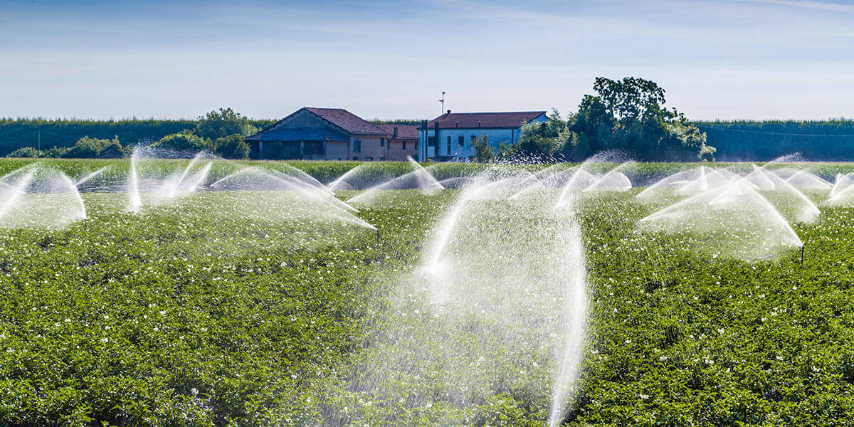 Elevating water from its source to the fields.