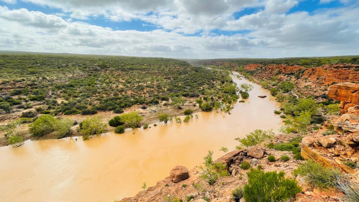 The Murchison River Dredging Project