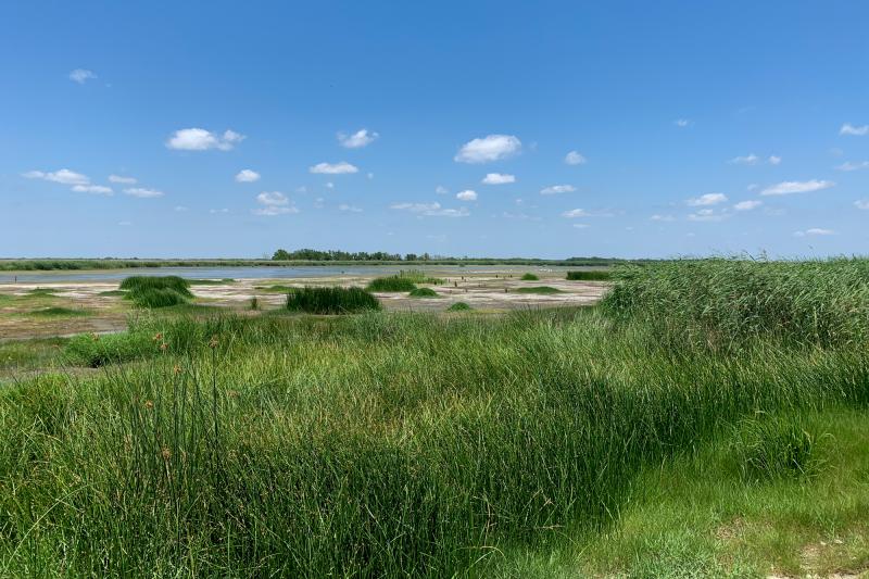 As part of the Coastal Wetlands Planning, Protection, and Restoration Act Program, NOAA has successfully restored 473 acres of marshland and 11,171 linear feet of ridge habitat in Bayou De Cade, Louisiana.