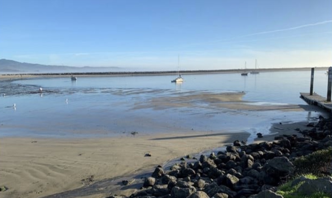 The Surfers Beach Restoration Pilot Project