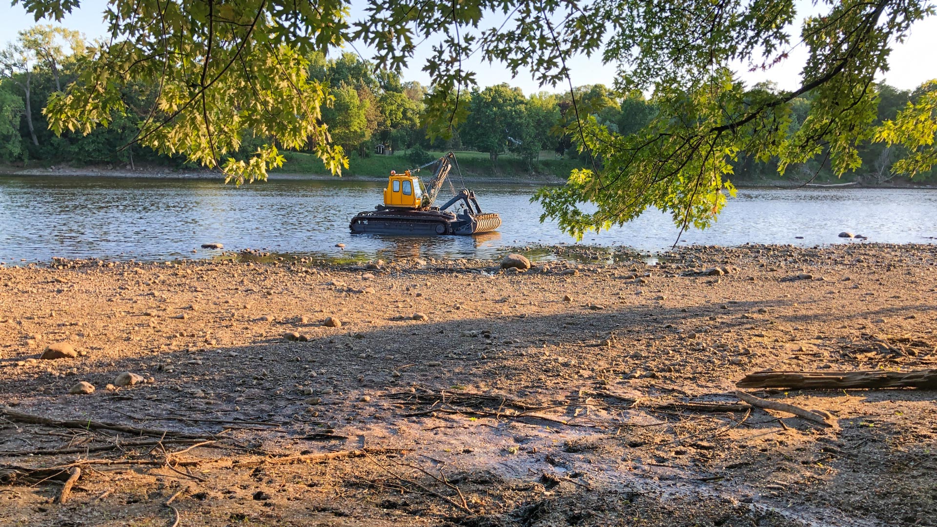 Collaborative Success in UMRR Steamboat Island Habitat Rehabilitation