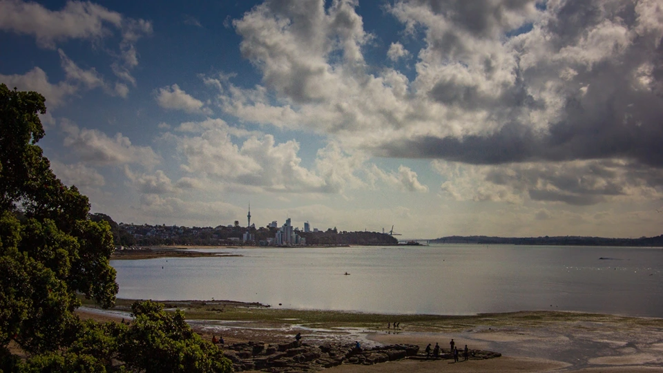 Understanding Shoreline Adaptation: Auckland’s 100-Year Plan Against Coastal Hazards