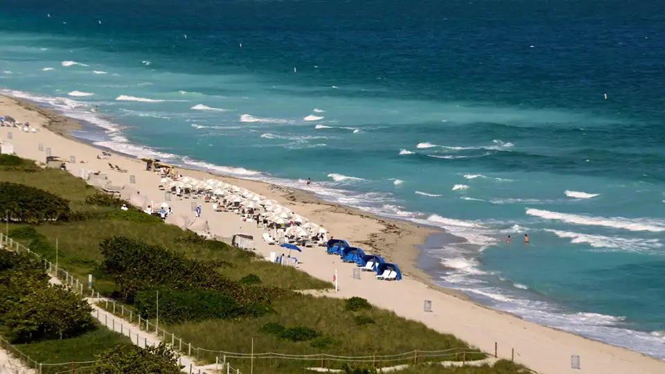 How Sand Scraping Protects Coastal Dunes