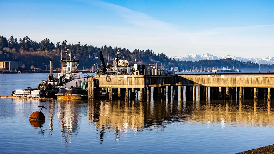 Active Cleanup and Natural Recovery in East Bay