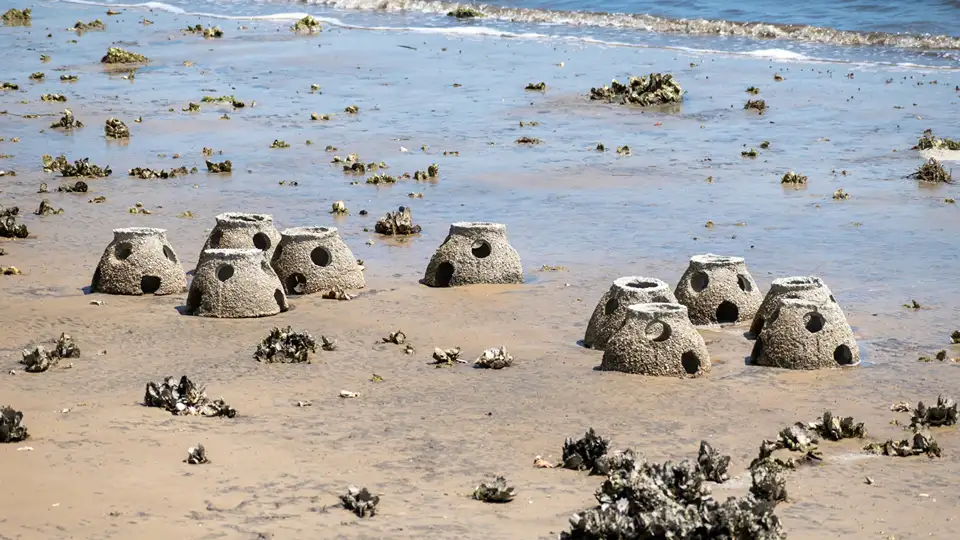 Boskalis Artificial Reefs & Coastal Ecology