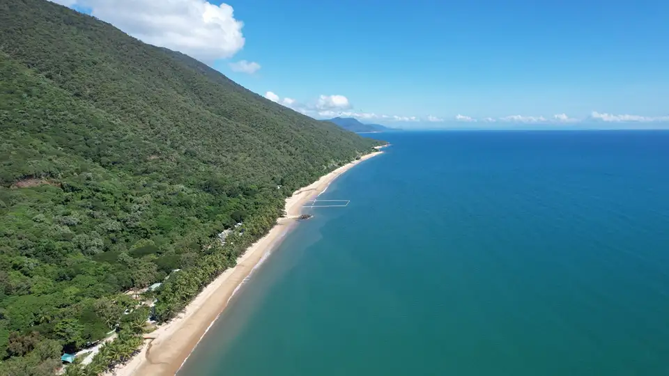 Revegetation to Boost Biodiversity on Cairns Beaches